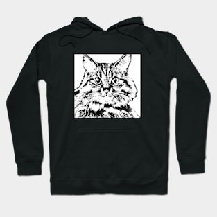 Maine Coon Cat Face Hoodie
